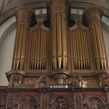 Christ Church City: LUKE BOND